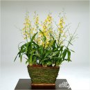 아름다운세상 이미지