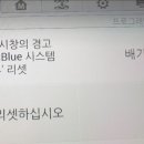 블루카모터스 네이버블로그