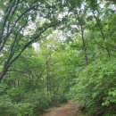 청계산 원터골 화장실 이미지