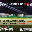 ☆[인천스카이야구장] 2013년 12월 23일~1월 30일까지 평일/주말 주야간 대관비 할인 이벤트!!(인조잔디시공/화장실 완비/도심권 최적의 교통) 이미지