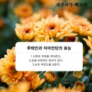 헬씨아이