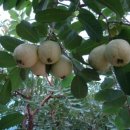 학의농장 이미지