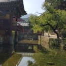 오미천 이미지