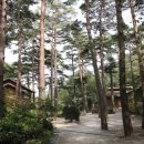 대관령자연휴양림 이미지