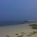 신동해수산 - 포항시 남구 호미로3192번길 21-8 | 강원도 양양 횟집 "신동해수산"