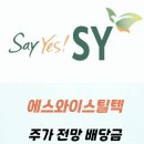 에스와이Tech