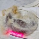 두카메디컬센터 이미지