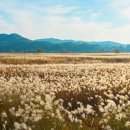 나래공원 이미지