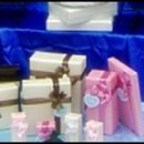 돋보이 개 이미지