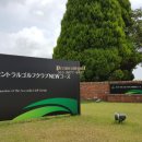 더센트럴골프 이미지