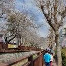 진해대로1201번길 이미지