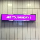 도봉-도봉-서울도봉-2376 이미지