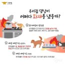 우리집고양이