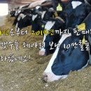 볏짚닷컴 네이버블로그