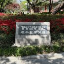 WR(대구광역시 중구)-[경상감영길]-상-2 | 대구 겹벚꽃 명소 ‘경상감영공원’ 실시간 개화상황 꽃구경