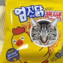 더덜하우스 | 81. 나 클래식 좋아하네..