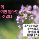 꽃향기세상