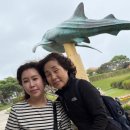 (주)라온아이엔씨 | 부산 동래 미남역 나오기속눈썹 윈드볼륨LED 속눈썹연장 솔직후기!