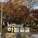 서울하늘숲유치원 | 🍂 서울 단풍명소 남산하늘숲길 산책 후기｜가는방법, 대중교통, 주차, 소요시간 정리