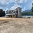 평화로주유소 네이버블로그