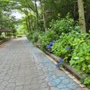 만개