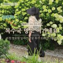 거창 | 경남 목수국 숨은 명소 여기네요! 거창 창포원 실시간 방문 후기