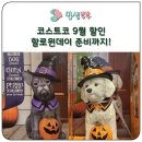코코호도가락점 | 코스트코 9월 할인 다양한 세일 상품과 할로윈데이 준비까지!