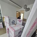 국제이사 두 번 해보고 알게 된 것들(한국 → 미국, 미국 → 싱가포르 국제이사 현실 후기)