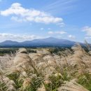 제주이글루 이미지