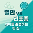 레몬비(용해점) | 리포좀 글루타치온 효능