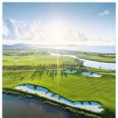 골프드래곤 이미지