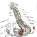 장산휘트니스클럽 이미지