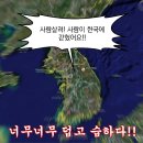 카페포렛 이미지