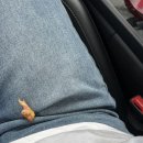 이디야 축협울진하나로마트점 이미지