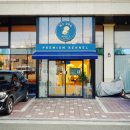 도그바이러스 이미지