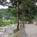 솔밭길샤브 이미지