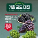 론즈데일NC