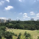 본시구도