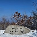 제 684차(1/3) 고요한 설산 내장산 신선봉(763m) 이미지