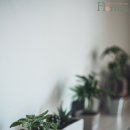 광명화원 - 과천시 경마공원대로 90-6 | 광명화원
