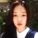 개이쁨 이미지