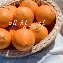 계정농장 이미지