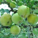 옥정농장 이미지