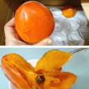 악양스토아 이미지