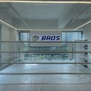 브로스 복싱 이미지