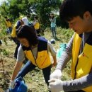 그린헬스케어 이미지