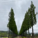 스파뷰호텔 이미지