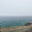 7번국도 이미지