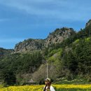 남양초등학교태하분교장 이미지