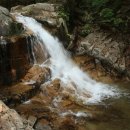 수원-1468 이미지